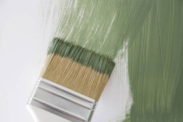 Best Basement Mold Removal  in Mabank, TX