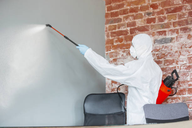 Best Commercial Mold Inspection  in Mabank, TX
